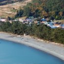 완도 예송리 상록수림 이미지