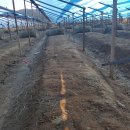 여주-1038 이미지