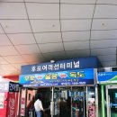 [공지] [ 독도여행] 울릉도 &amp; 독도 당일치기여행~♡독도 여행( feat. 날씨가좋아서 독도 입도성공)