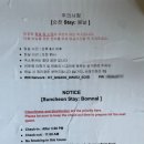 stay봄날 이미지