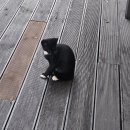 하동감성독채숙소 소소화개 | 힐링여행 경남 하동 삼성궁 감성숙소, 소소화개