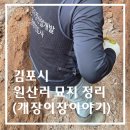 역사지도사 | 김포 원산리 묘지 정리 후기: 20년차 장례지도사가 말하는 '품격 있는'묘지 이장