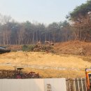 수목 이미지