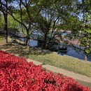 목포경찰서 민원실앞 | [공지] 1종 운전면허 갱신 썰: 모바일과 싸우다 결국 '산책' 승리! (feat. 경산경찰서)