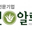 그린 알로에 이미지