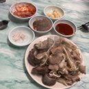 털보허파