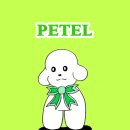 또와펜션 | 거제 애견 동반 숙소 소노캄 거제 스위트 펫프렌들리 오션뷰 페텔 예약