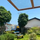 하도리안 이미지