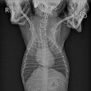 온아동물의료센터 이미지