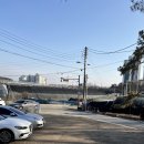 라즈베리앤망고