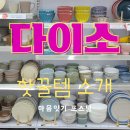 다이소 나들이. 다이소 핫꿀템 daiso 추천템 소개