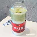 빽다방세종고대점 | 빽다방 말차 전메뉴 '2026원' 프로모션 이벤트 APP 픽업오더 세종어반아트리움점 크림라떼 후기