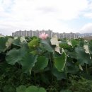 연바다 이미지