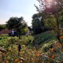 끼리끼리 식당 이미지