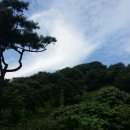 율산농장 이미지