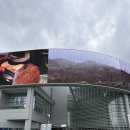 2018 ACC 아트트레일러 | [광주] 미디어아트 플랫폼 감각환경 무료전시