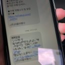 신창우체국버스승강장 | 꽃구경, 좋🤙다🤙 | 아름여행사 진도 청산도 1박2일