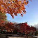 천황자동차야영장 이미지