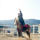 비슬 승마체험장 이미지