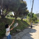 펀 스포츠(fun sports) | 스피드민턴 펀세트 초등학생 배드민턴 야외운동