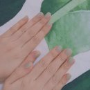 네일또하리 이미지