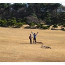 소유농원 이미지