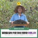 채농원 이미지