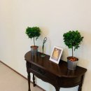 한림속 하루 이미지