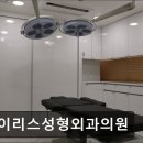 아이리스성형외과의원 | 서울 강남 논현동 성형외과 추천 아이리스성형외과의원 논현동 아이리스성형외과, 믿을 수 있는 상담