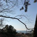 장흥군청 제2주차장 | 부산 해운대 브런치소보 달맞이점 바다뷰 분위기 신상 맛집 내돈내산 후기(주차장 정보)