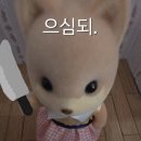 유튜브 팬페스트 코리아 2026 ‘존이냐박이냐’ 오픈스튜디오 당첨 후기