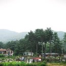 곰들산장 이미지