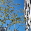 본죽&비빔밥 전주효천점 이미지