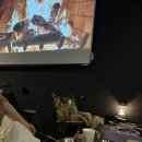 달리는포차 | 왕십리역 안주 맛집 술집 왕십리술집 캠핑포차 불멍 한양대점 솔직후기