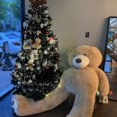 세븐일레븐 울산삼산대로점 | 울산 삼산 카페 밀리언하우스 버터떡 우베라떼 내돈내산 솔직후기