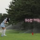 버디버디A 이미지