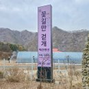 꽃길만걷개 이미지