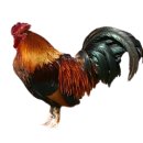 예원축산유통 이미지