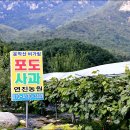 연진농장 이미지