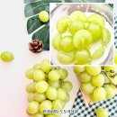 달콤상점김천 | 샤인머스캣제철 맞이 건강간식 추천 푸른들바다 산지직송 씨없는포도 샤인머스캣 2수 솔직후기
