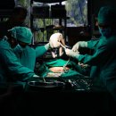 자연주의 조산원 이미지