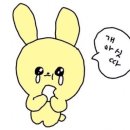 공실103 이미지