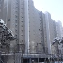 덕진-113 네이버블로그