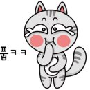 신가바늘산오징어 이미지