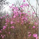 두리봉경로당 이미지