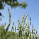 낙천대세탁소 이미지