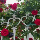 미소요양병원 이미지