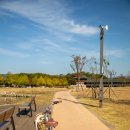 태종로주유소 이미지