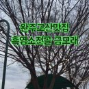 금모래가든 이미지