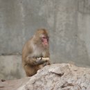 전주동물원 이미지